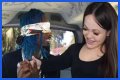 Unveiling The Diamond Franco Fan Bus: A Journey Of Passion And Community